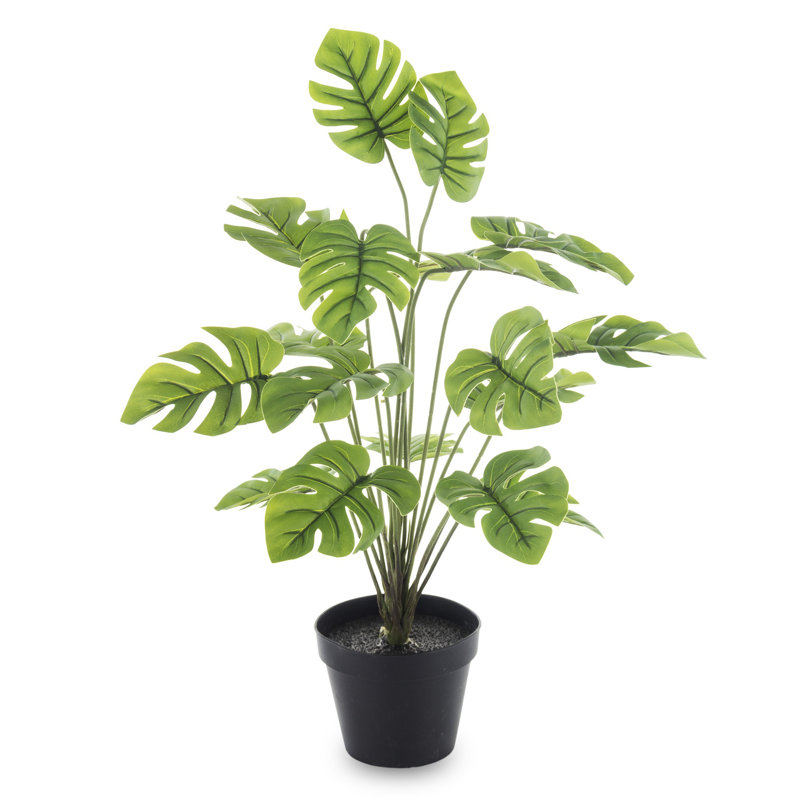 50cm Faux Evergreen Plant in Pot