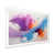 White Single Picture Framed