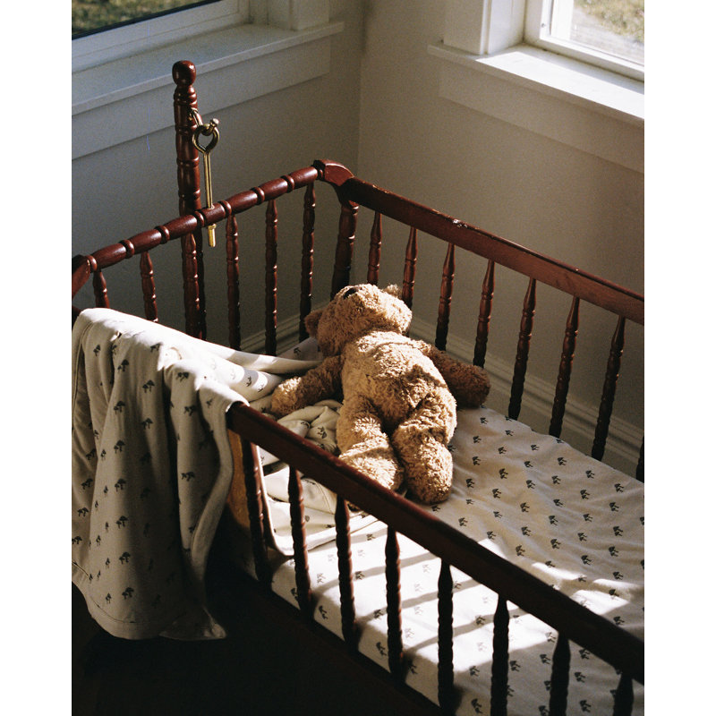 Mushroom - Luxury Soft Plush Backing & Turkish Cotton Jersey Print, Double Layered, 30" x 40" Baby Blanket