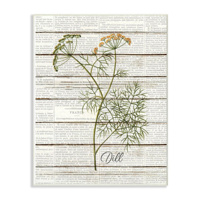 " Dill Vintage Herb Kitchen Dining Room Word Collage Design "