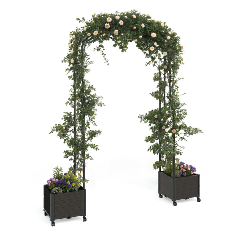 Metal Arbour in Black, 240.03cm H x 119.89cm W x 39.88cm D