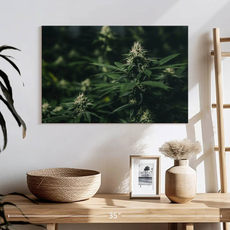 Fresh Marijuana, 30" H x 45" W