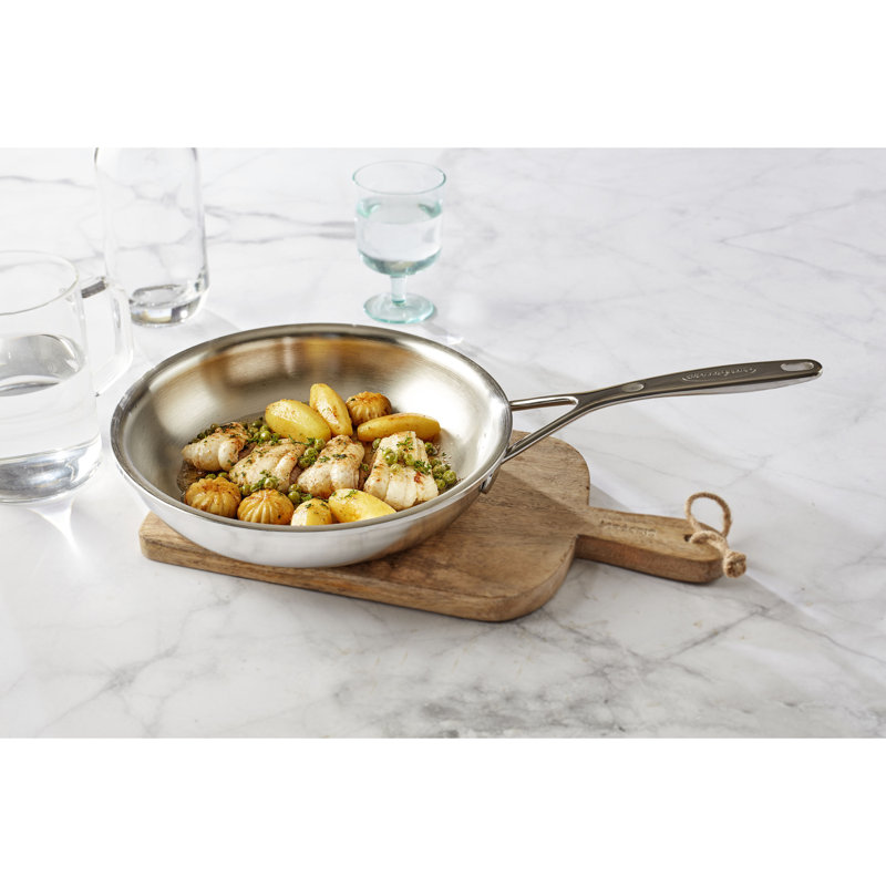 Demeyere Atlantis Proline 9.45 in. Stainless Steel Fry Pan