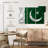 Silky Pakistan Flag-1495194111