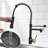 Fapully Pull Down Kitchen Faucet-73243238