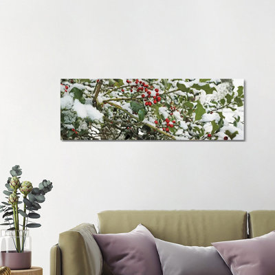 Close-Up Of Holly Berries Covered With Snow On A Tree by Panoramic Images - Wrapped Canvas Panoramic Gallery-Wrapped Canvas Giclée
