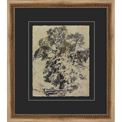 Antique Tree Study " Antique Tree Study 2 " Painting Print