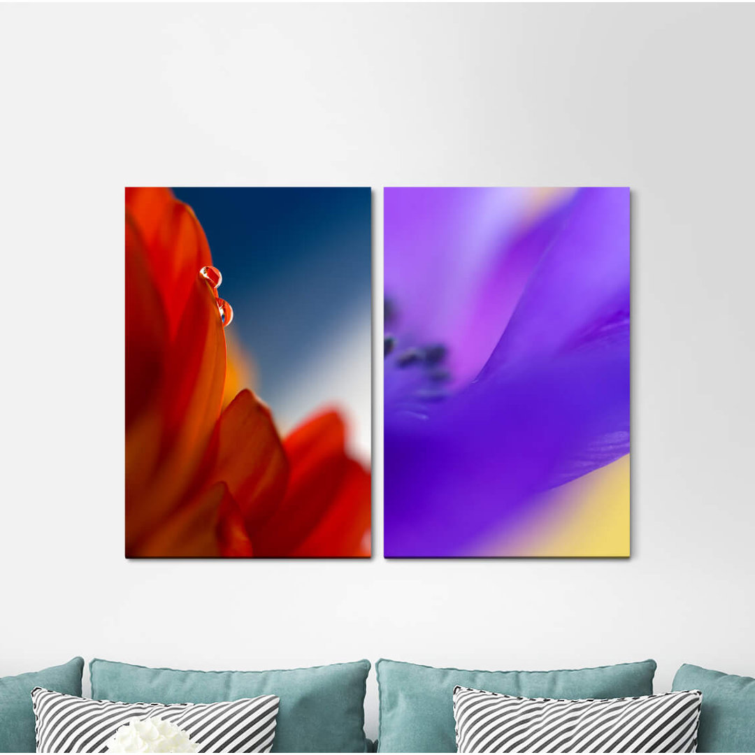 2-tlg. Leinwandbilder-Set - Fotografie „Blossom Colourful Orchid Summer Soft Soft Soft”