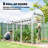 Walk-In Tunnel Greenhouse, Hoop House Greenhouse With 8 Roll-Up Doors, 10' X 3' X 6.5', Clear