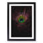 Purple Peacock Feather - Single Picture Frame Print on MDF-56864059-56864063