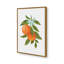 Oranges par Cat Thurman Designs, reproduction d'art-56378390-56378859-56378860