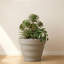 Pot à fleurs rond Kaofen ECOBO EcoFriendly-580920283-580920281