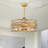 Trahan 24.4'' Ceiling Fan with Light Kit