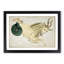Astronomical Zodiac Chart Of The Capricorn - Single Picture Frame Painting-57844284-57844288