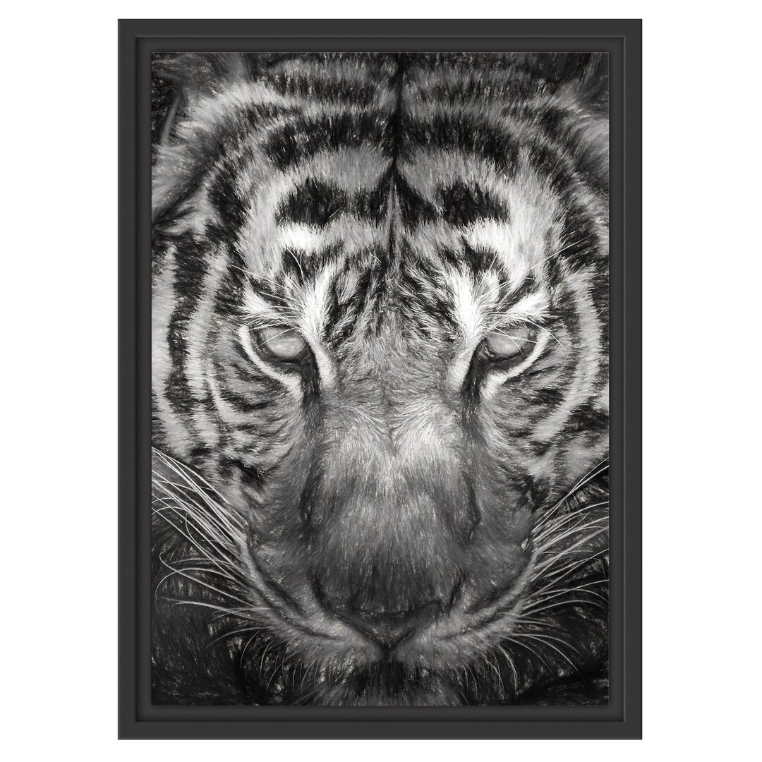 Gerahmtes Wandbild Tiger mit hellbraunen Augen Kunst