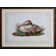 Swan II Print by Audubon