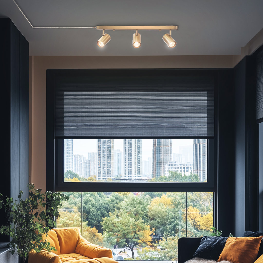 22.25'' 3 -Light Fixed Track Track Kit with Adjustable Head Ebern Designs Shade 