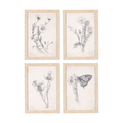 Chamomile Drawing I a Hand Embelished Textured Framed Art Print