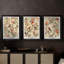 Ensemble de 3 toiles tendues sur mesure, série W3-1261660411-1261660410