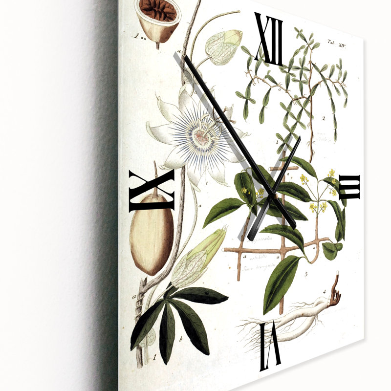Horloge murale rétro Vintage Plant Life IV - Farmhouse, Petit