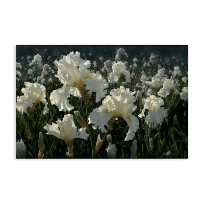 White Iris Garden Canvas, design by Collin Bogle