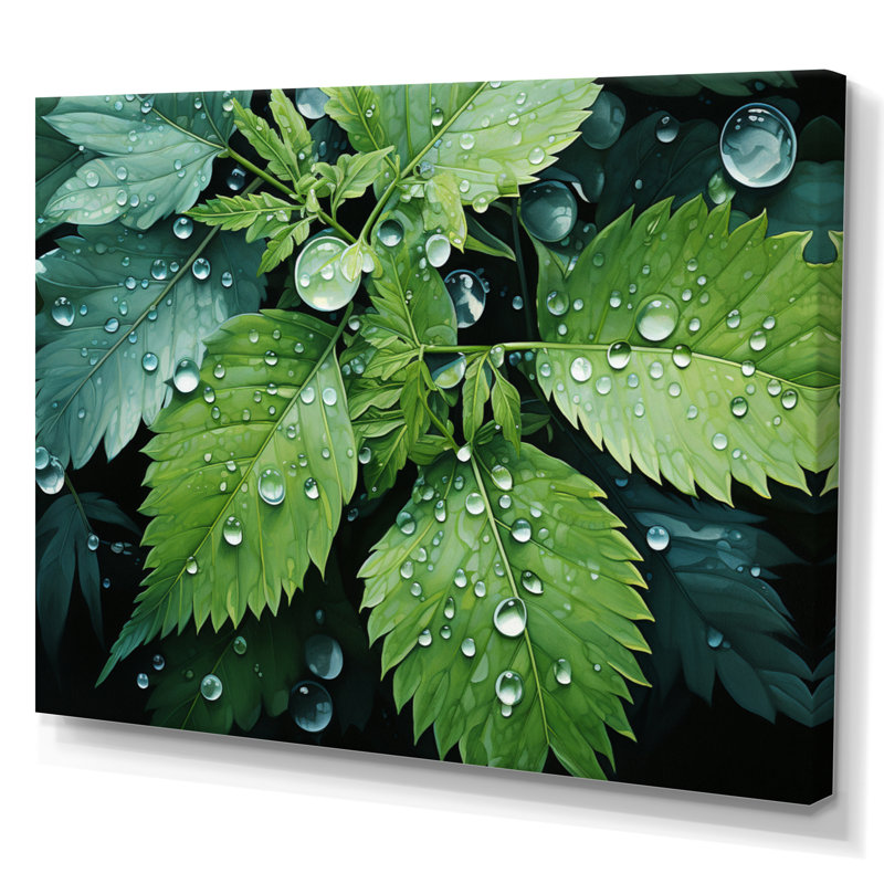 Ferns Plant Gossamer Veil I - impression, Toile tendue, H 30 po x l 40 po x P 1,5 po
