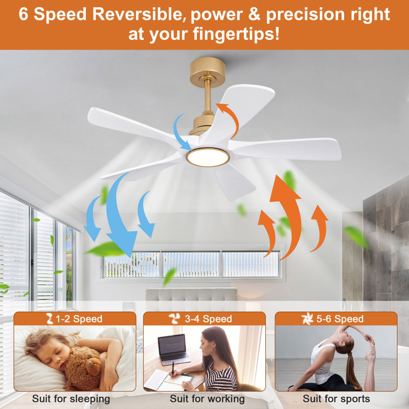 42 Inch Ceiling Fans with Lights and Remote Control, Wood Ceiling Fan for Patios Bedroom, Outdoor Gold Ceiling Fan with Lights, Noiseless DC Motor, Dimmable LED, 5 Solid Wood Blades