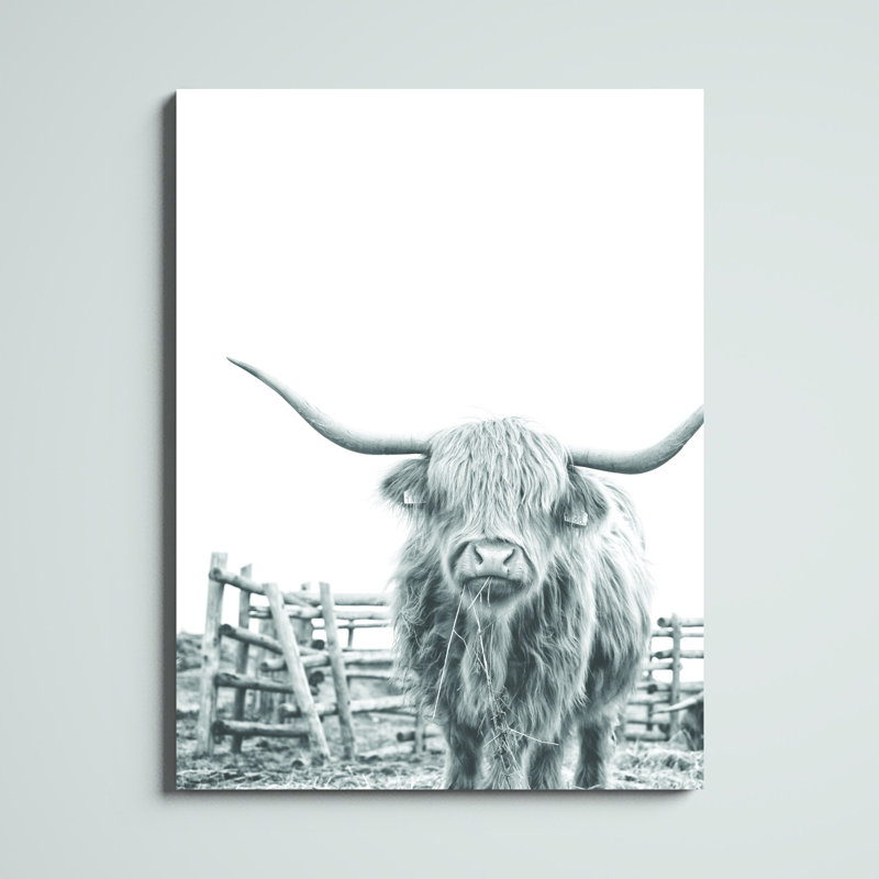 Noir et blanc Highland Cow - impression, H 48 po x l 36 po