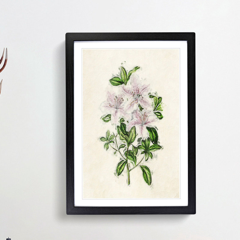 Illustration of Pink Azaleas - Picture Frame Painting Print, Black Framed, 48cm H x 36cm W x 2cm D
