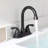 Centerset 2-handle Bathroom Faucet with Drain Assembly-45127788