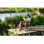 Folio Outdoor Lounge Chair-653025009