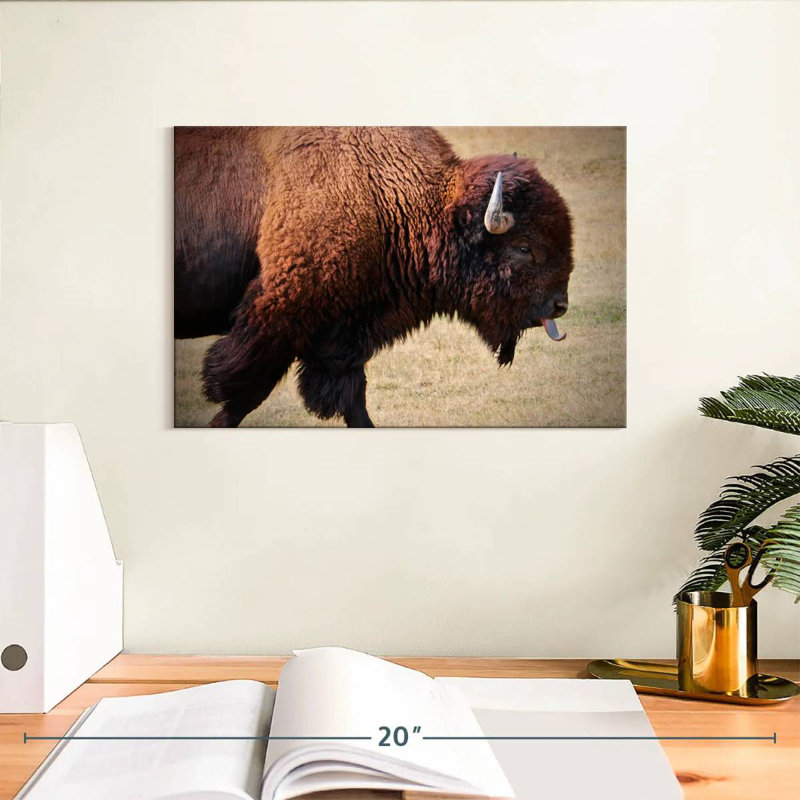 Tongue Wagging Bison, 8" H x 12" W