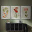 Botanical Array VI - Toile tendue avec châssis sur mesure - 3 pièces-916200994-916200995
