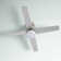Poppe 52'' Ceiling Fan with LED Lights