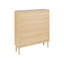 Rhilynn Accent Cabinet