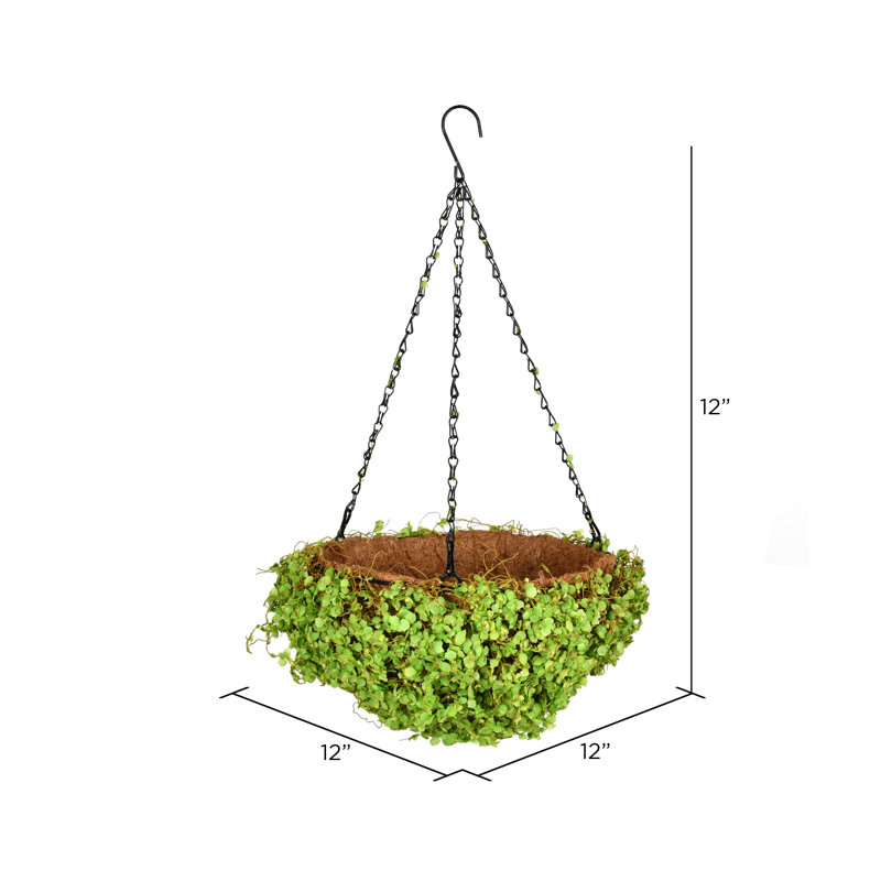 Hanging Planter