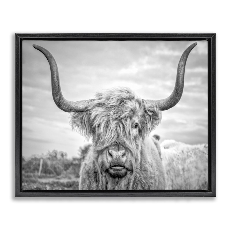 «Black and White Highland Cow», reproduction d'art sur toile par Joe Reynolds, Cadre flottant noir de jais