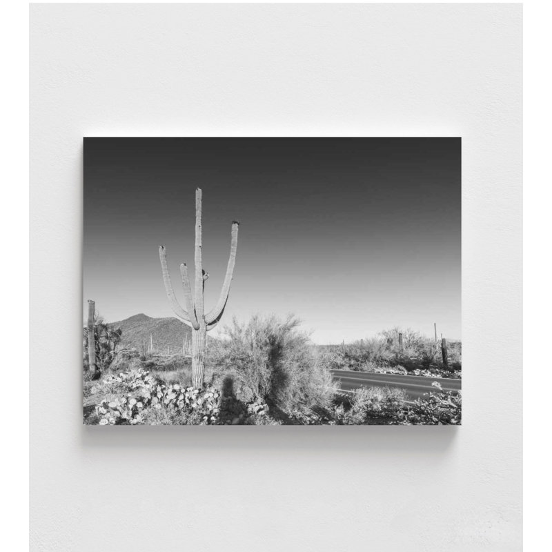 Desert Sentinel - Photographie de paysage en noir et blanc, Impression encadrée sans passe-partout, H 12 po x l 16 po