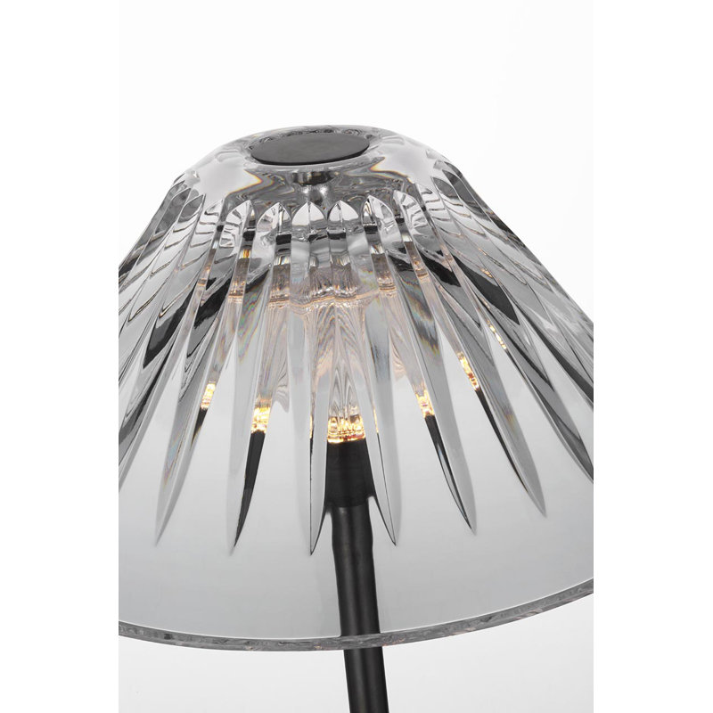 Waterford Blaze 55" Floor Lamp with Clear Crystal, Bronze