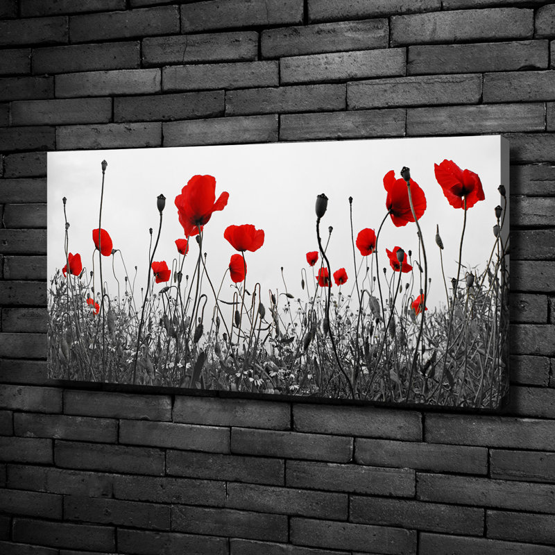 Maki - Wrapped Canvas Print