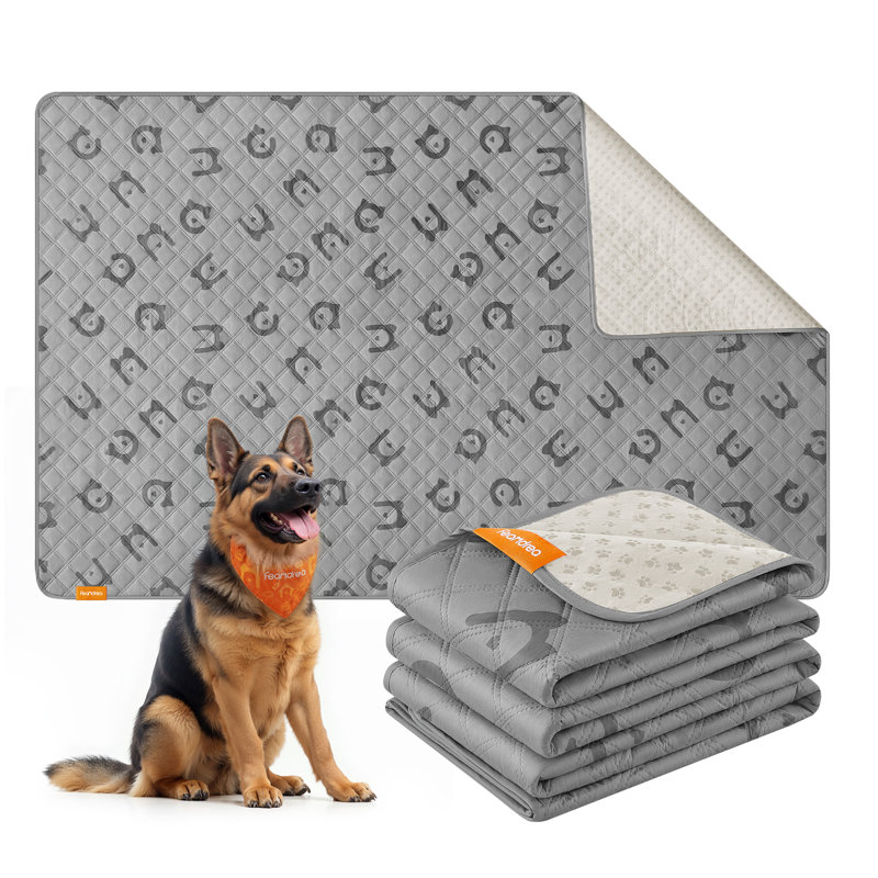 Dog Blankets