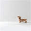 Clear Zig Zag Pet Gate-2107762609-1916999419