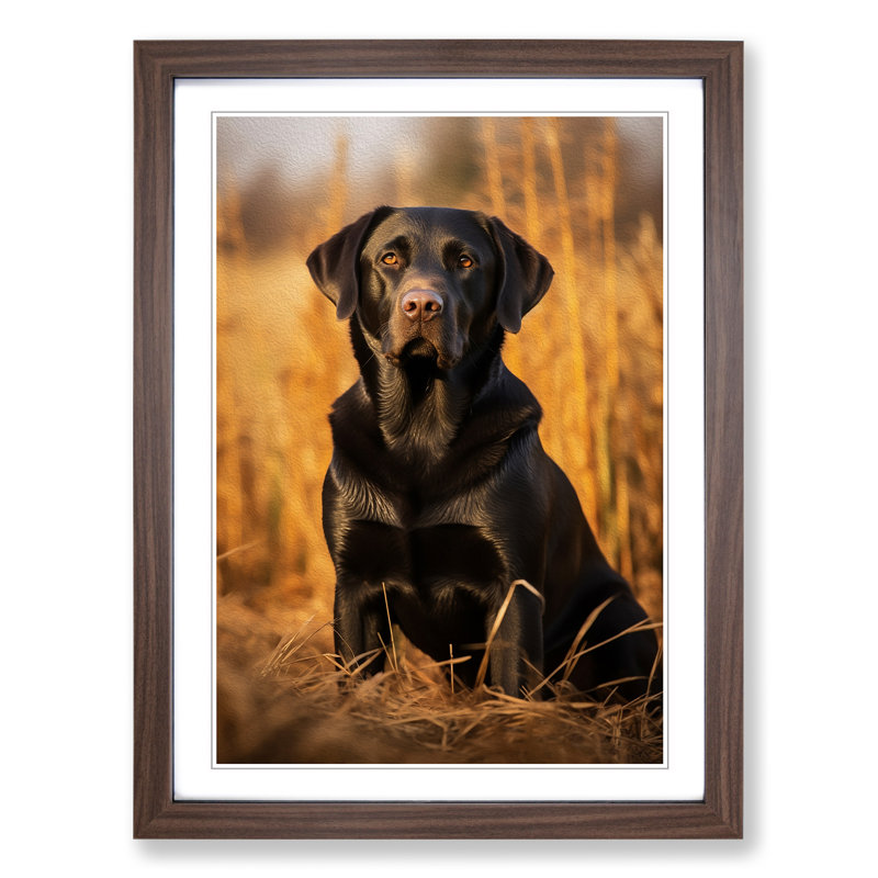 Labrador Retriever Symbolism - Single Picture Frame Print on Wood, Walnut Framed, 46cm H x 34cm W x 2cm D