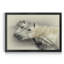 «Curiosity» - Cadre photo, impression sur toile-919158621-919158622