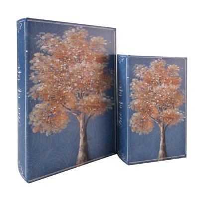 Chirk 2 Piece Decorative Box Set