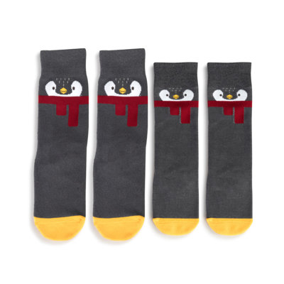 4 Piece You and Me Sock Gift Set