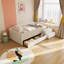 Lit de jour Sereno capitonné avec 2 tiroirs, lit plateforme bas en velours et velours côtelé-745817513-745817515