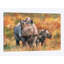 «Rhino and Baby», impression sur toile-33109780-72410955-72410949