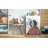 Oriental Indoor Rug-1709743190
