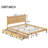 Modern Minimalist Bed Frame